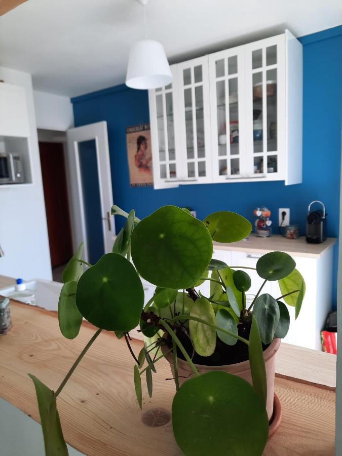 Appart Proche Plage Avec Grand Balcon Cannes Exterior photo